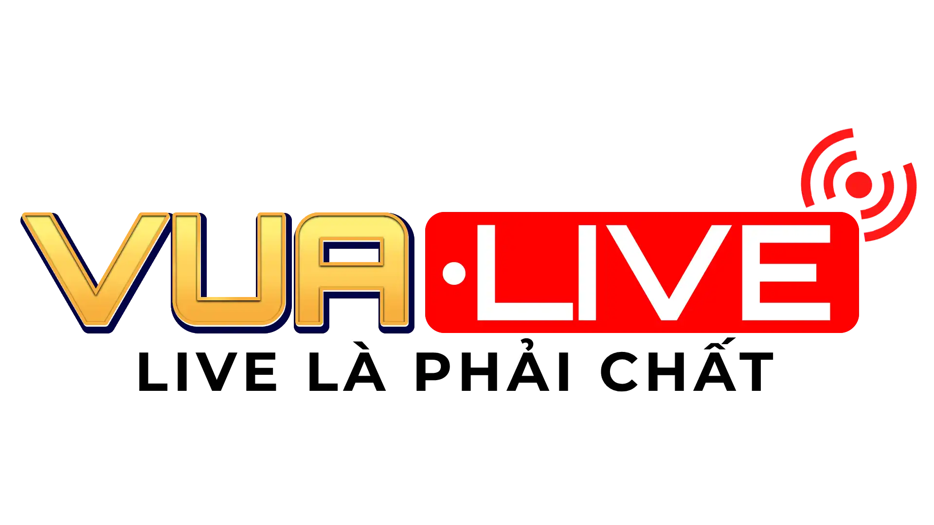 Logo Vualive1920x1080